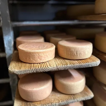 Larix Apartament Ulrichen