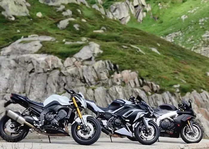 Larix Lägenhet Ulrichen