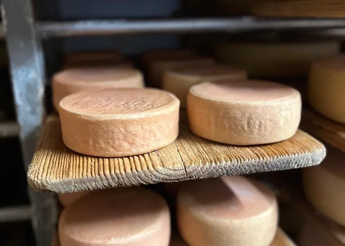 Larix Daire Ulrichen